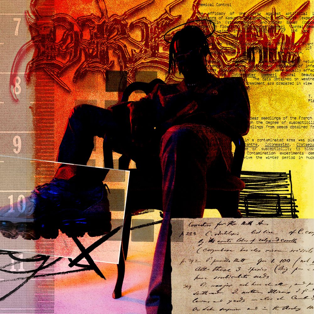KOZO album artwork